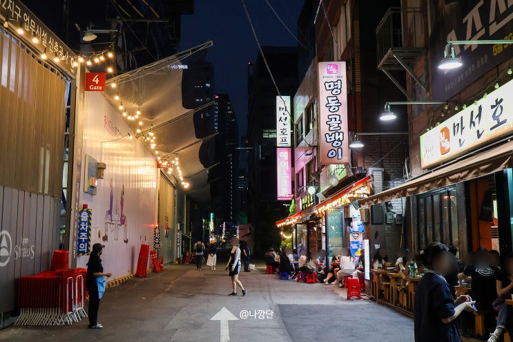 서울 을지로 야장 노가리골목 만선호프 골뱅이무침 야간 데이트 : 네이버 블로그
