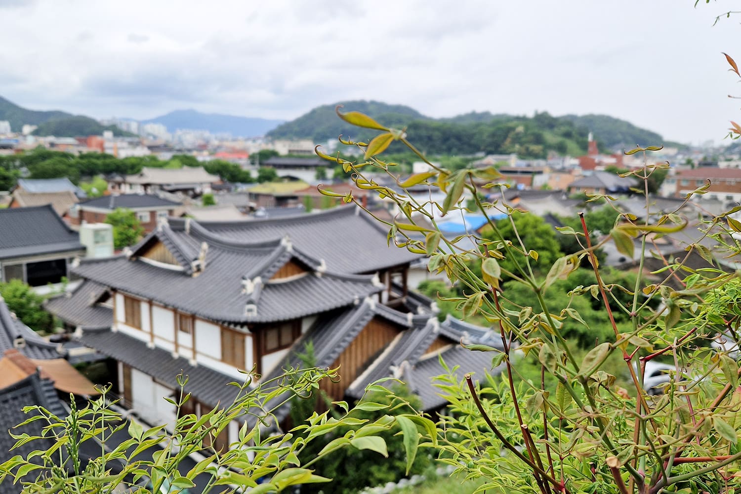 Ultimate Jeonju Travel Guide - Everything you need to know ...