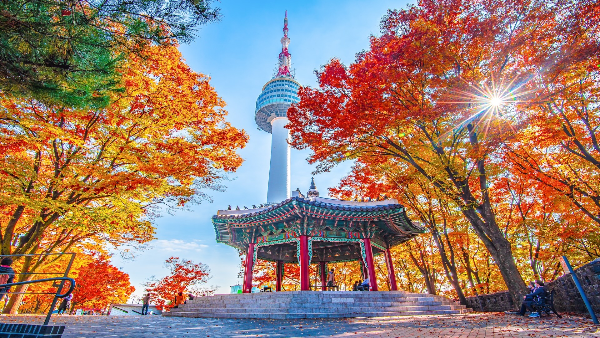 Complete Guide to the Seoul Park Music Festival 2024: Experience the ...